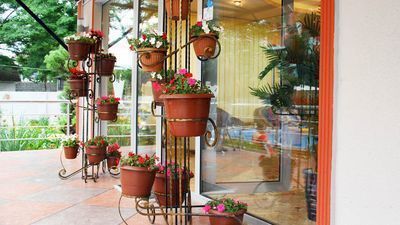 ეგზოტიკა_8